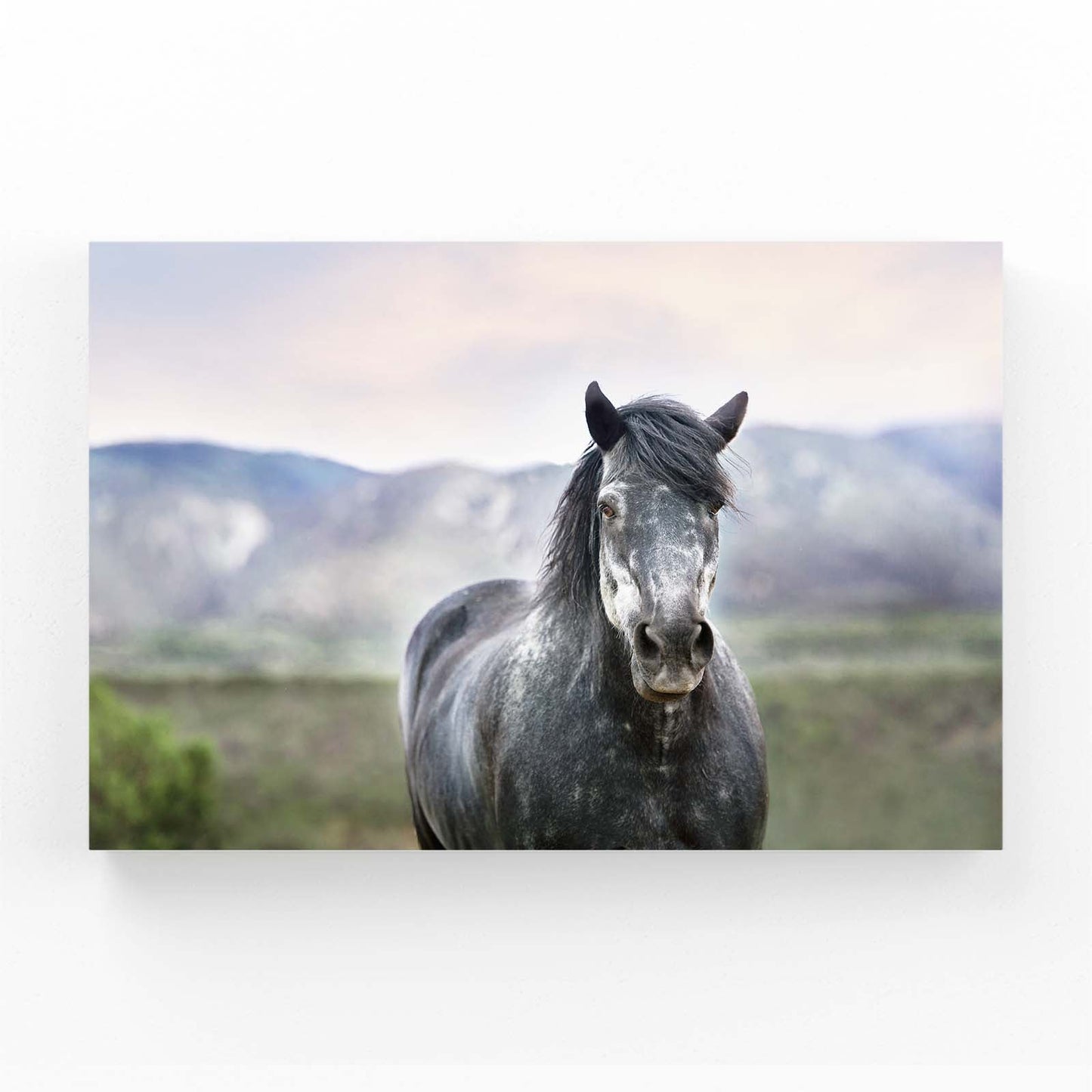 Nature Horse Art – angled canvas view on white background