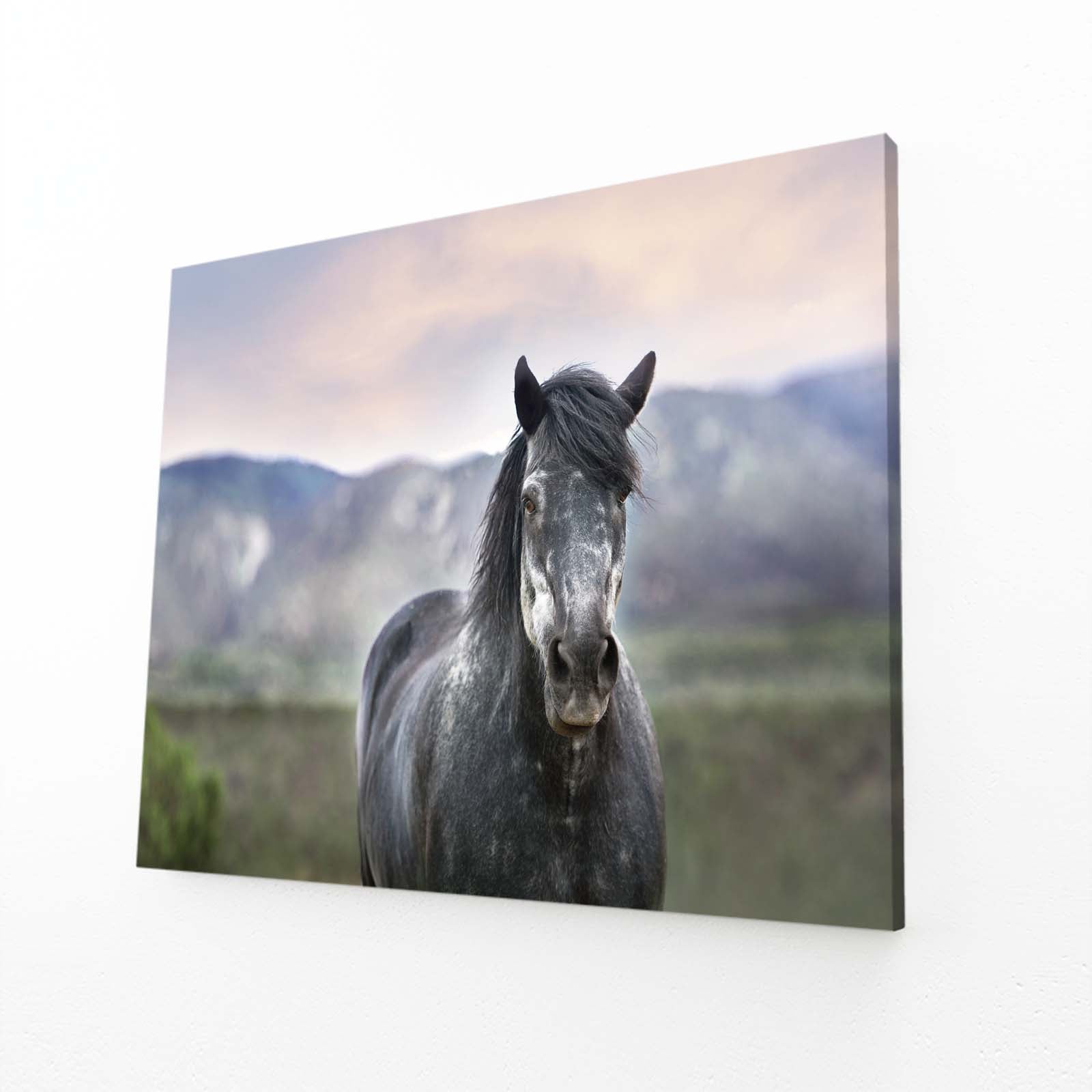 Nature Horse Art – angled canvas view on white background
