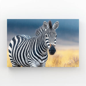 Nature Zebra Prints