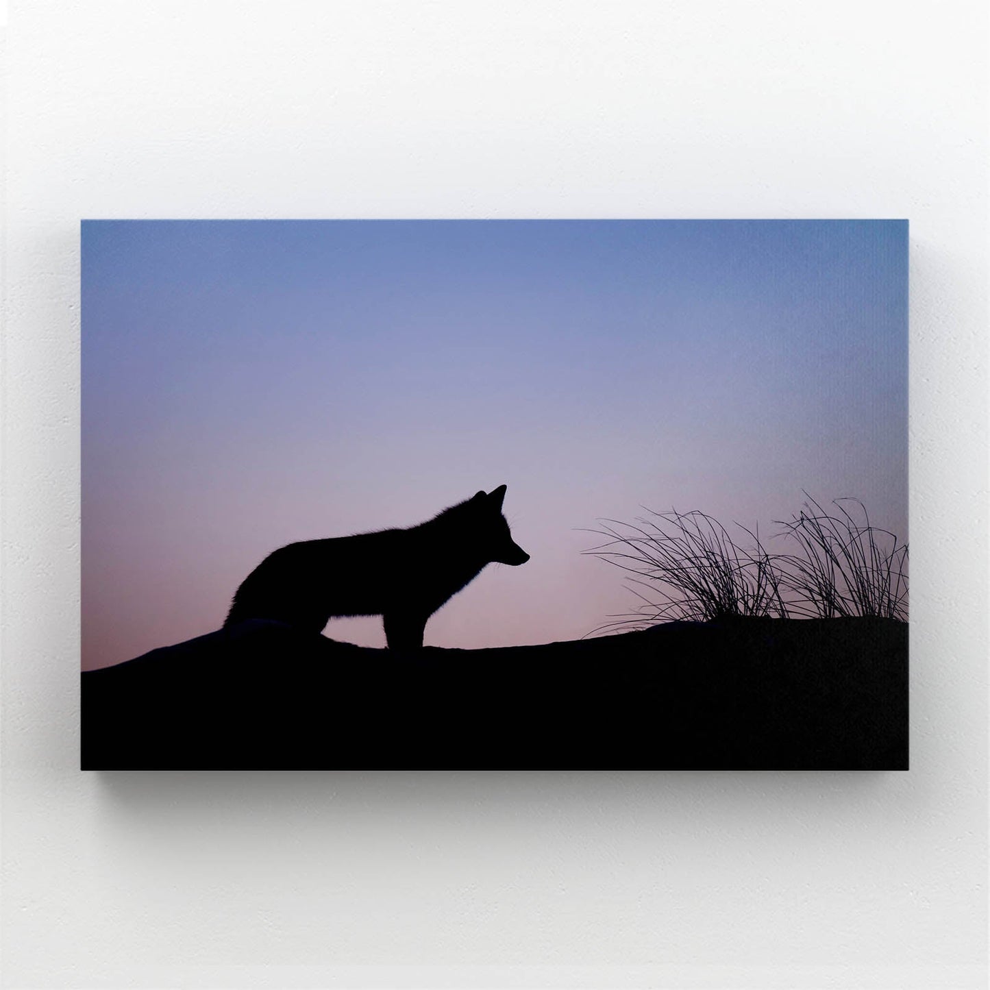 Night Wolf Art