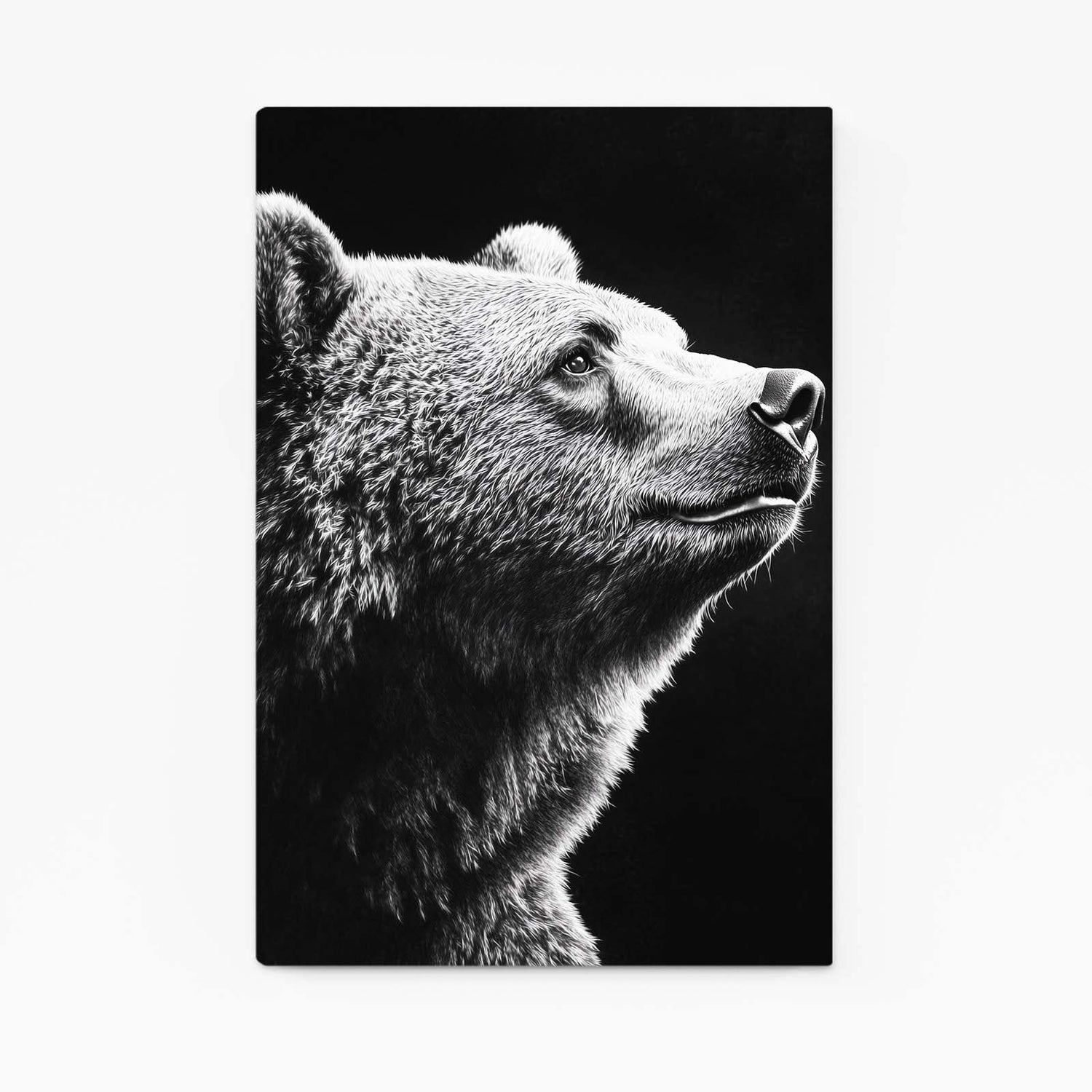 Noble Bear Photography Wall Art – bear profile lifted toward the light, black and white