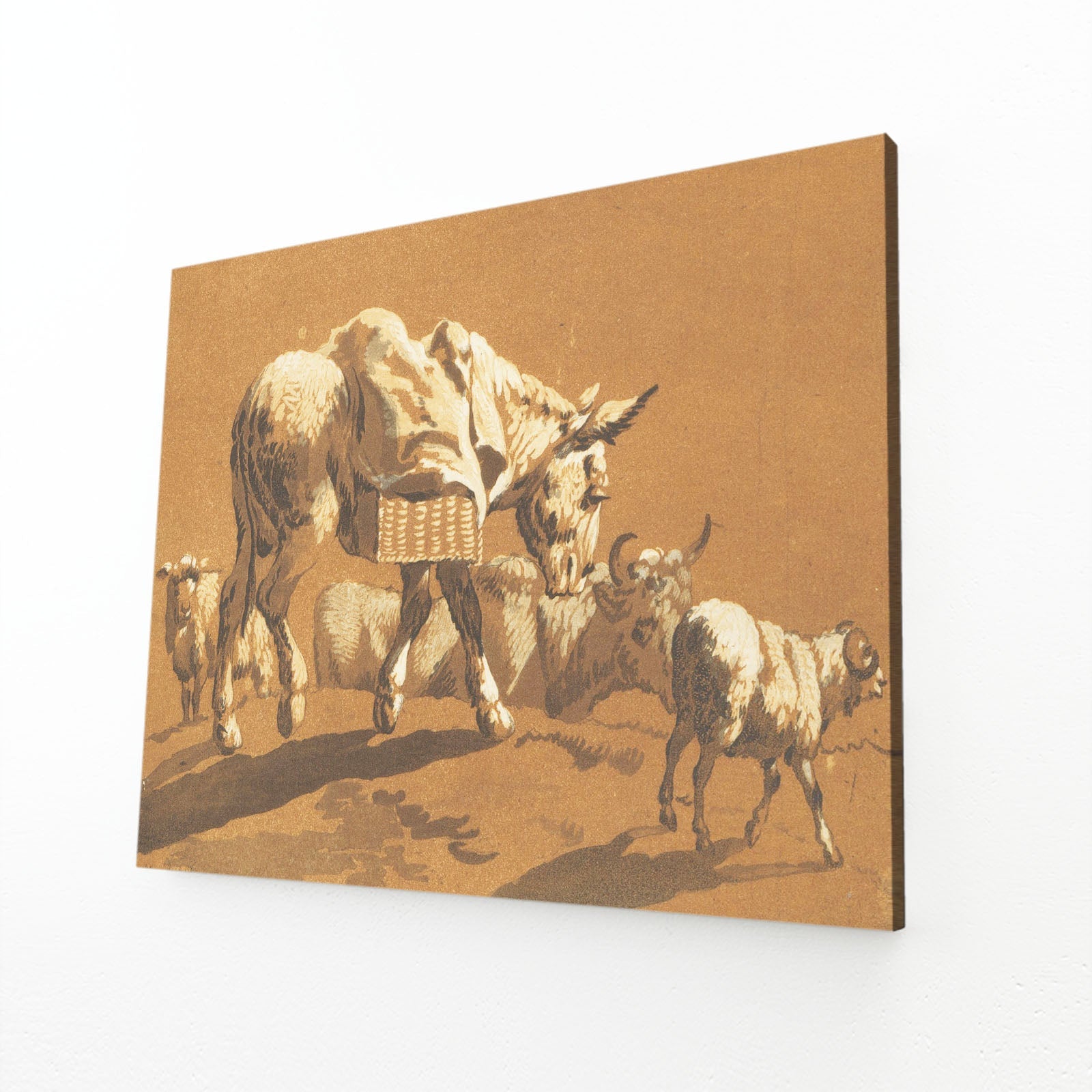 Old Cow Canvas Art – angled canvas view on white background