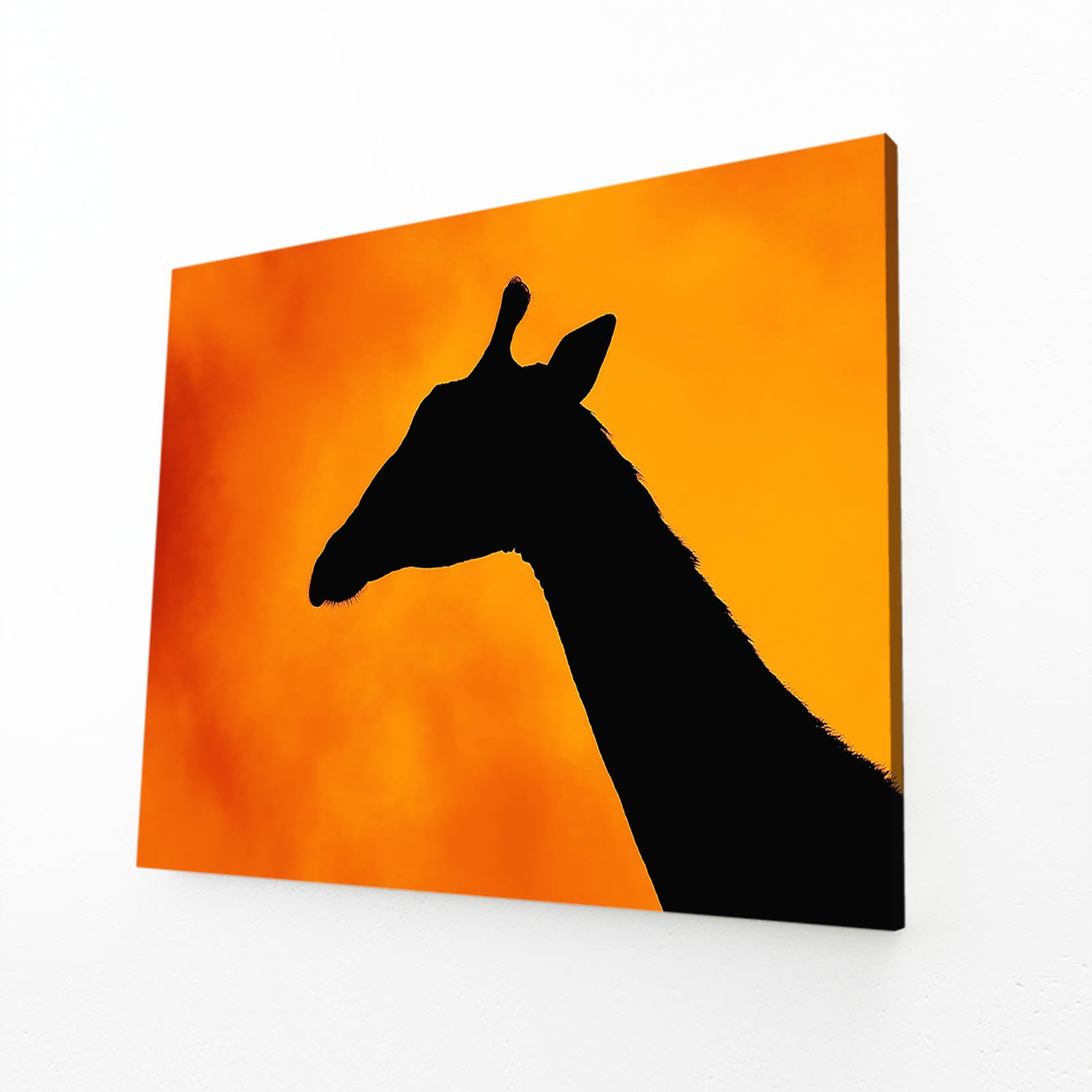 Black silhouette of a giraffe on an orange background