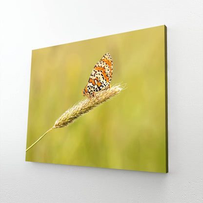 Orange Meadow Butterfly Wall Art