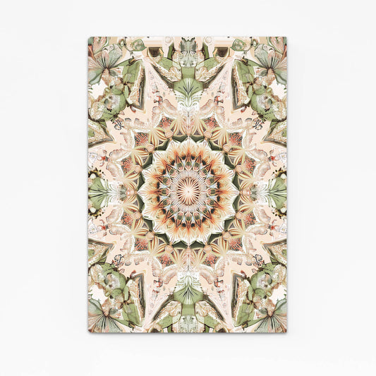 Pale Kaleidoscope Bloom Cactus Wall Art – pale kaleidoscope bloom cactus canvas print