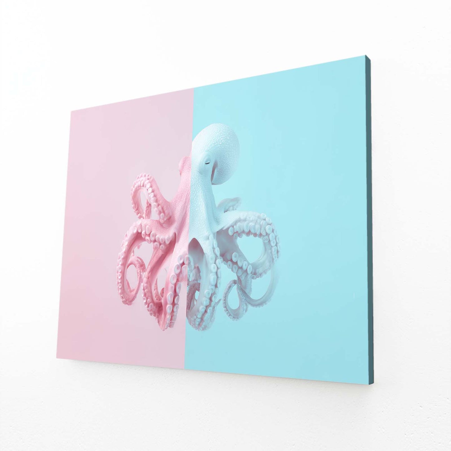 Pastel Split Panel Octopus Canvas – angled canvas view on white background