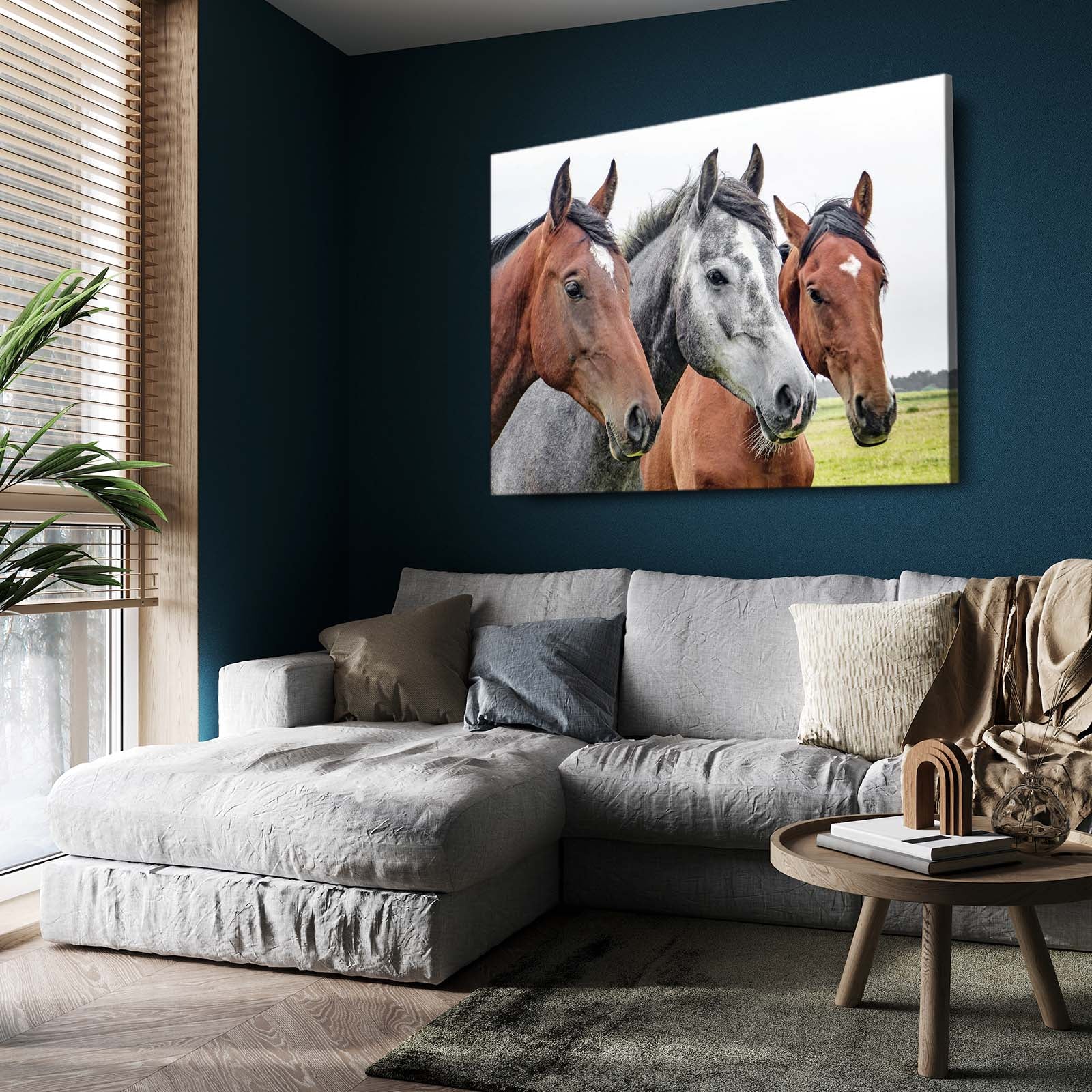 Pasture Trio Portrait Horse Canvas Art — photography canvas print, styled in a furnished interior