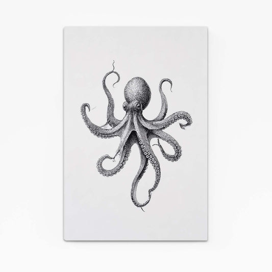 Pencil Study Octopus Canvas – pencil study octopus canvas print