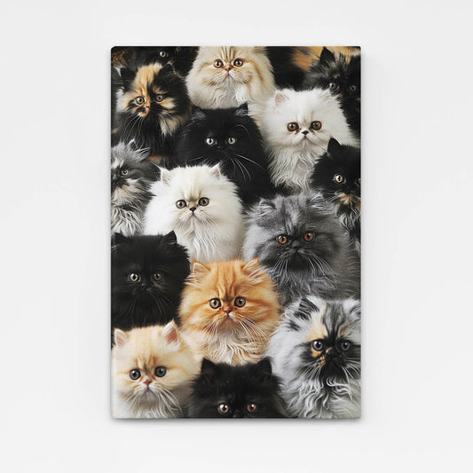 Persian Council Cat Wall Art