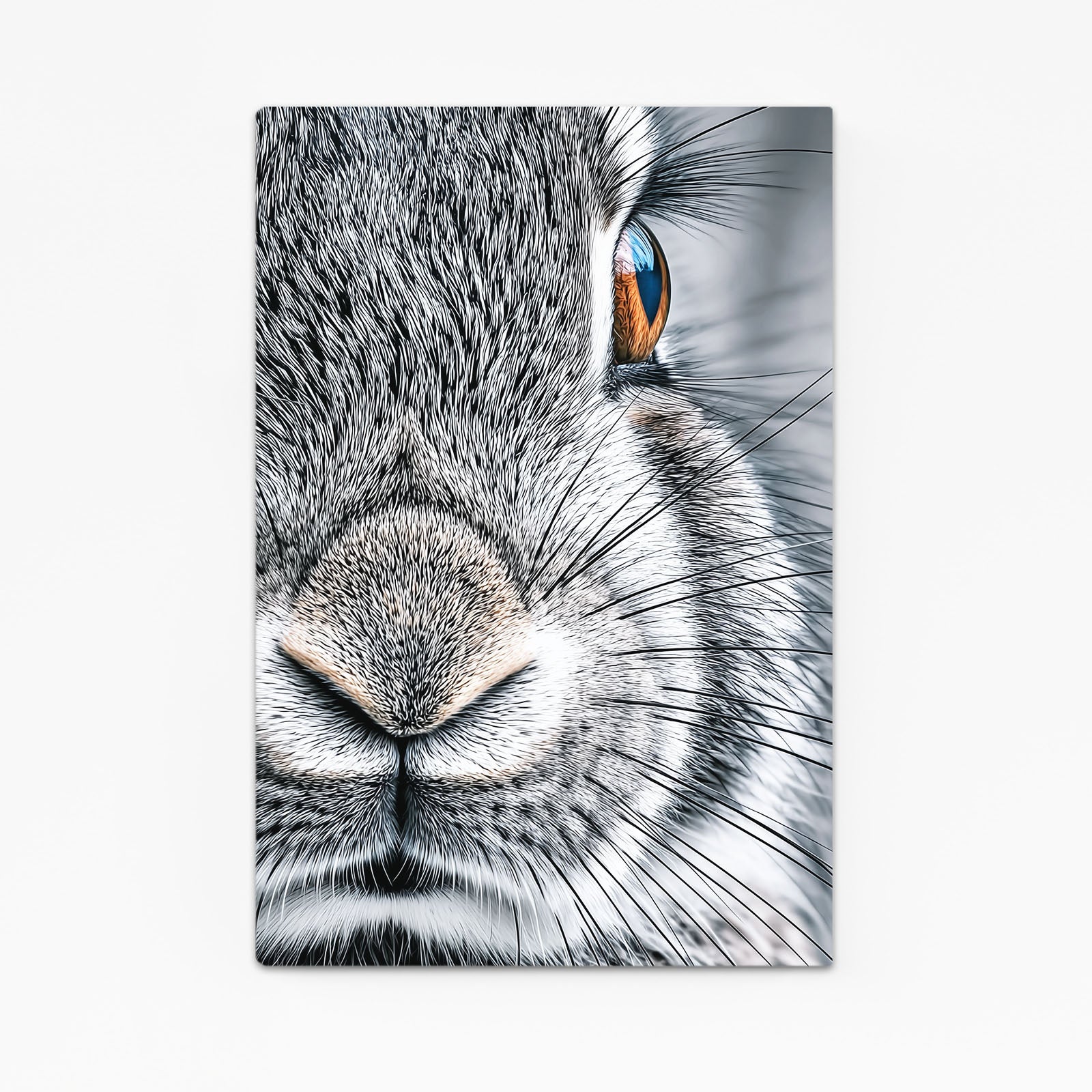 Photography Bunny Wall Art – angled canvas view on white background