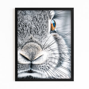 Photography Bunny Wall Art