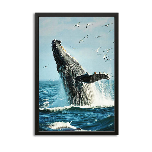 Photography Whale Print Art – canvas print on white background