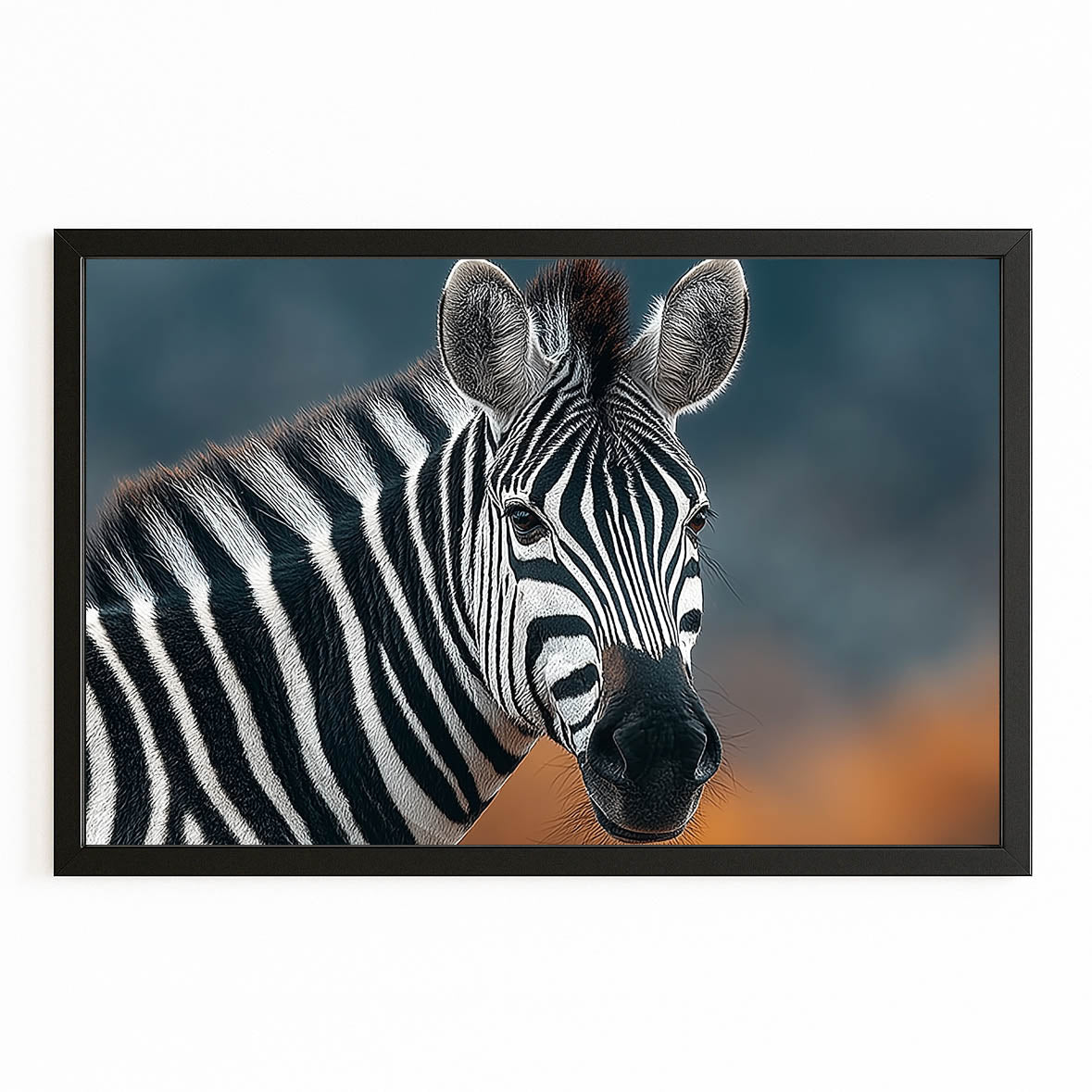 Photography Zebra Art — contemporary canvas print, with Premium Black frame on white background