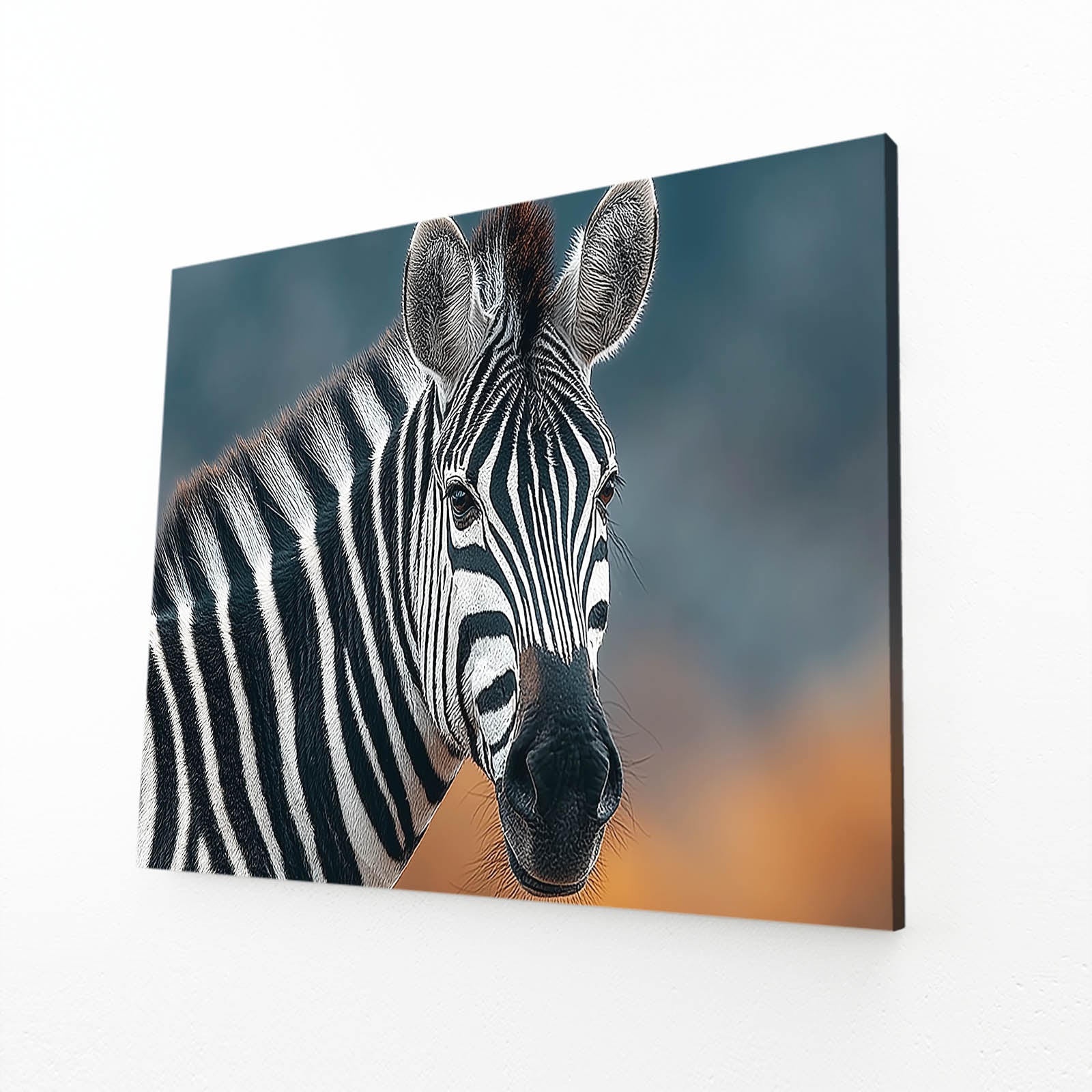 Photography Zebra Art – angled canvas view on white background