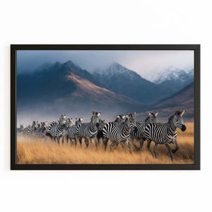 Photography Zebra Canvas