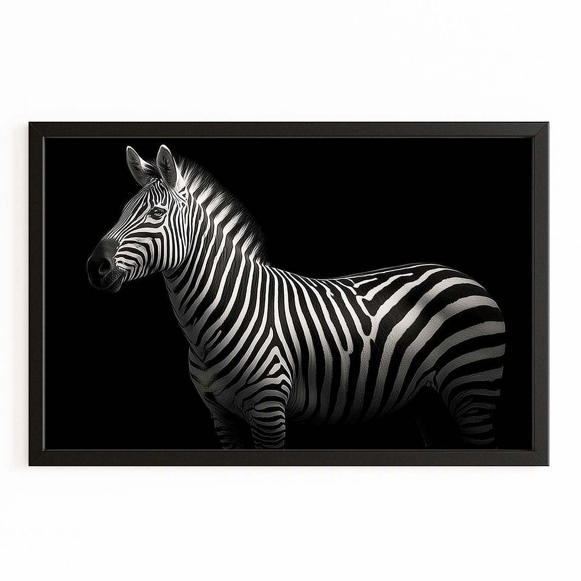 Photography Zebra Wall Art — nature canvas print, with Premium Black frame on white background