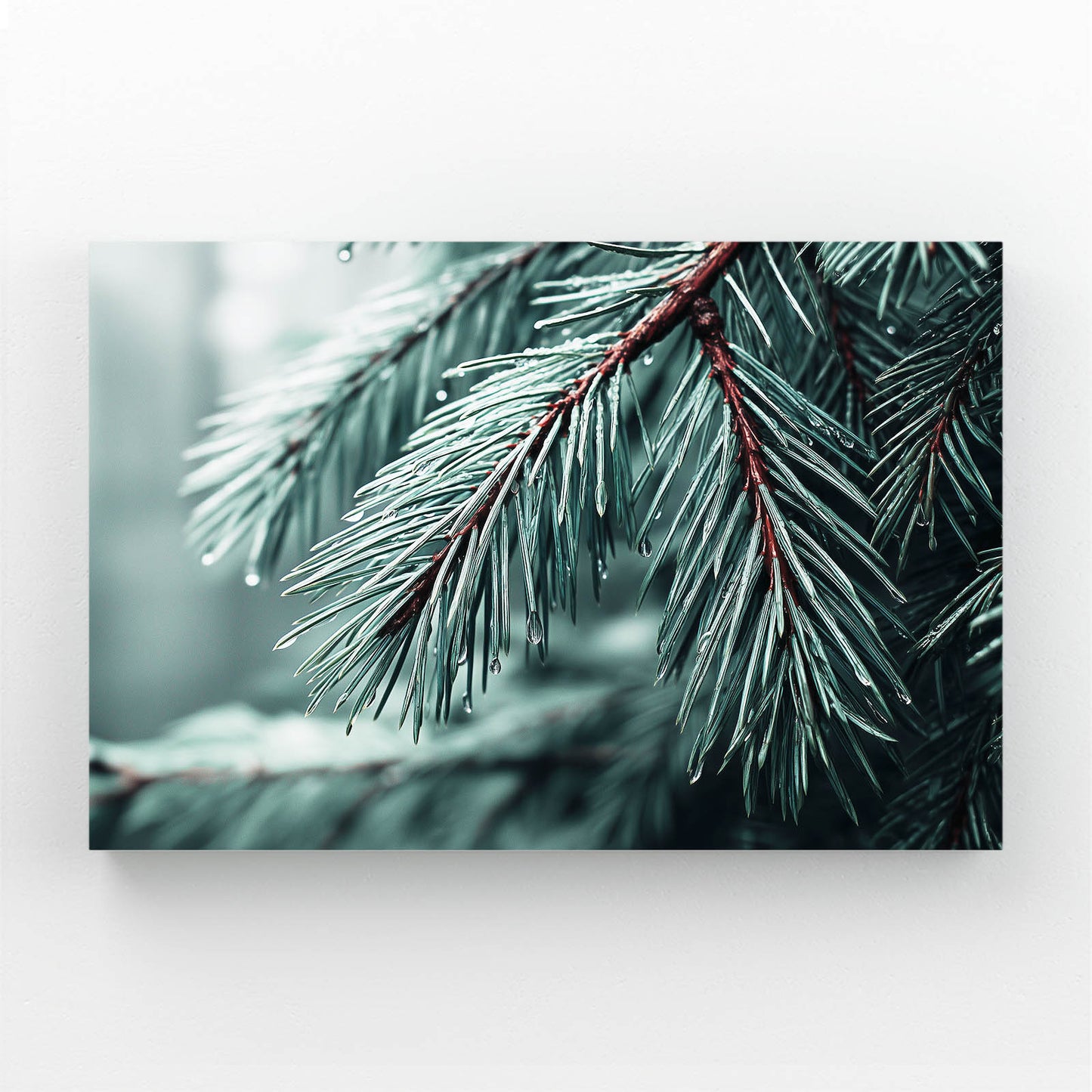 Pine Branch Red Berries Photography Canvas – pine branch red berries photography canvas print