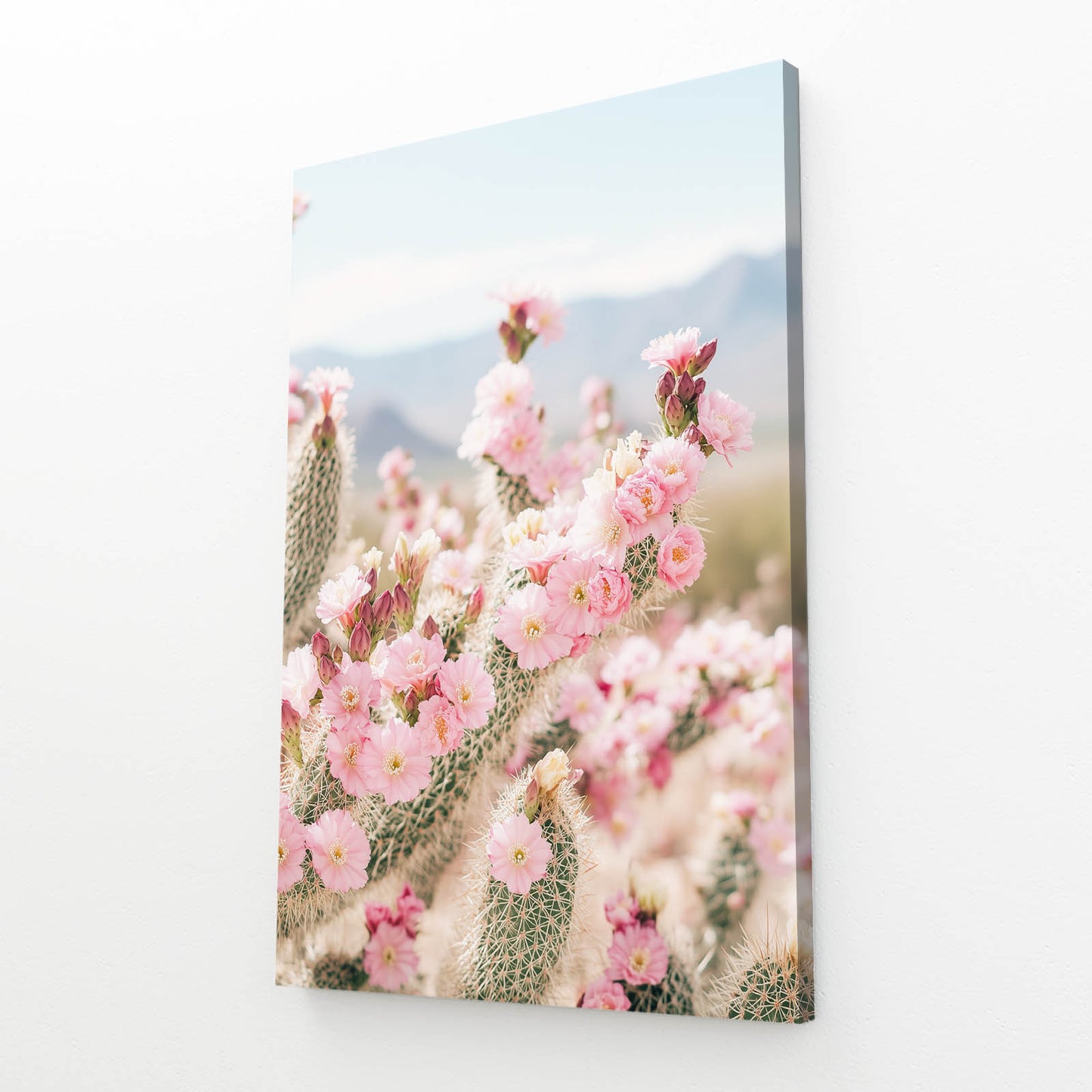 Pink Desert Blossoms Cactus Canvas Art – angled canvas view on white background