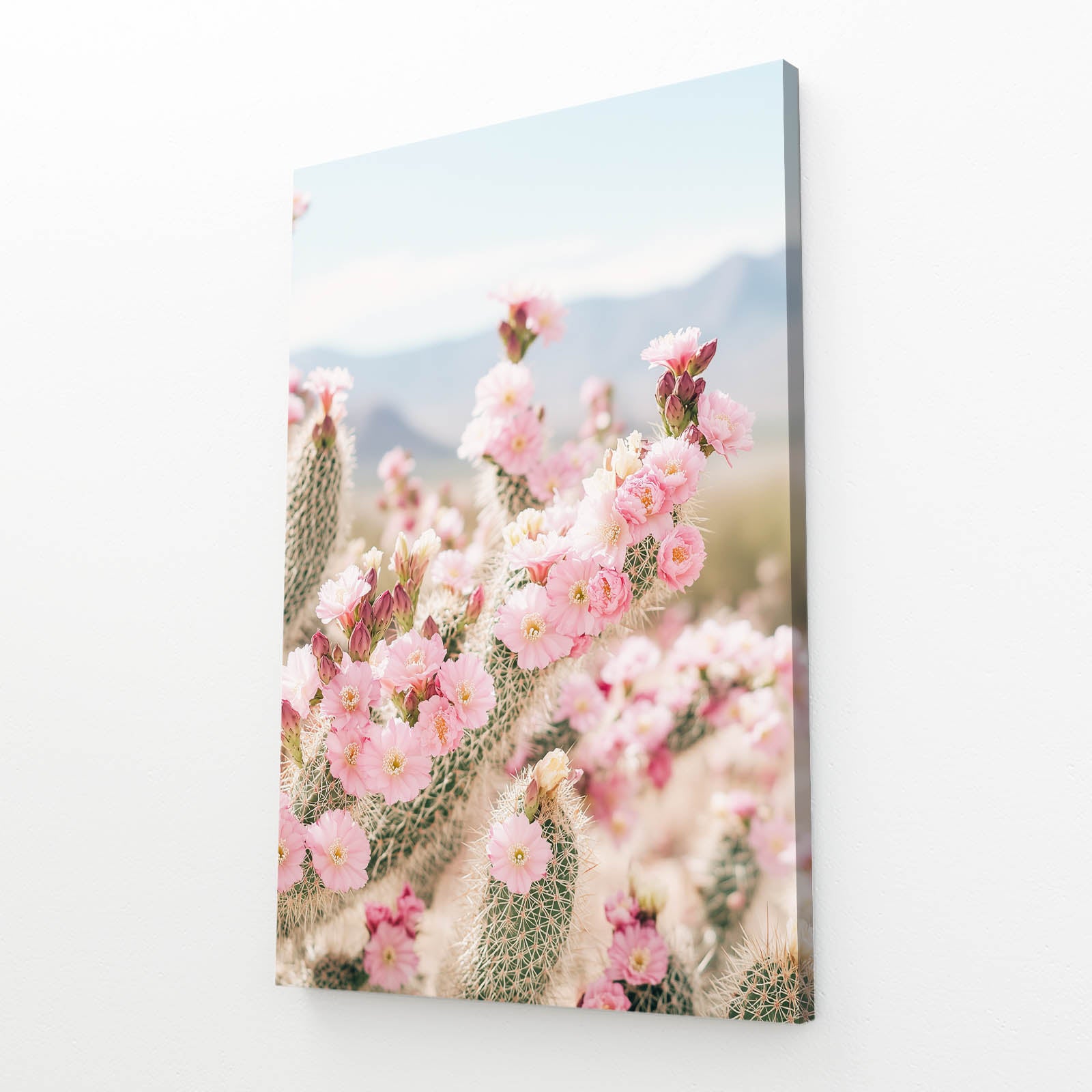 Pink Desert Blossoms Cactus Canvas Art – angled canvas view on white background
