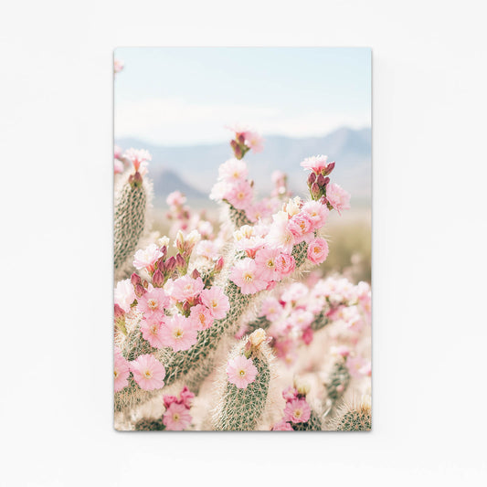 Pink Desert Blossoms Cactus Canvas Art – pink desert blossoms cactus canvas print