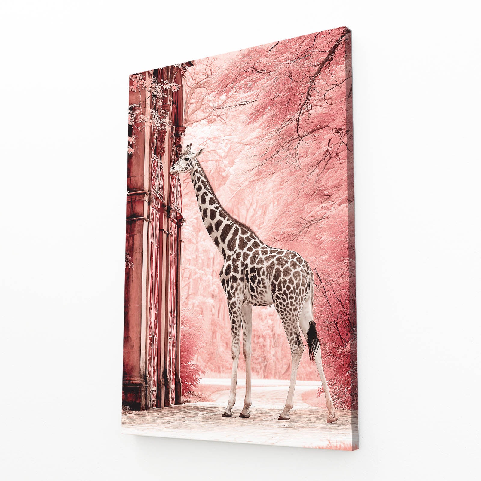 Giraffe standing in front of a pink architectural background