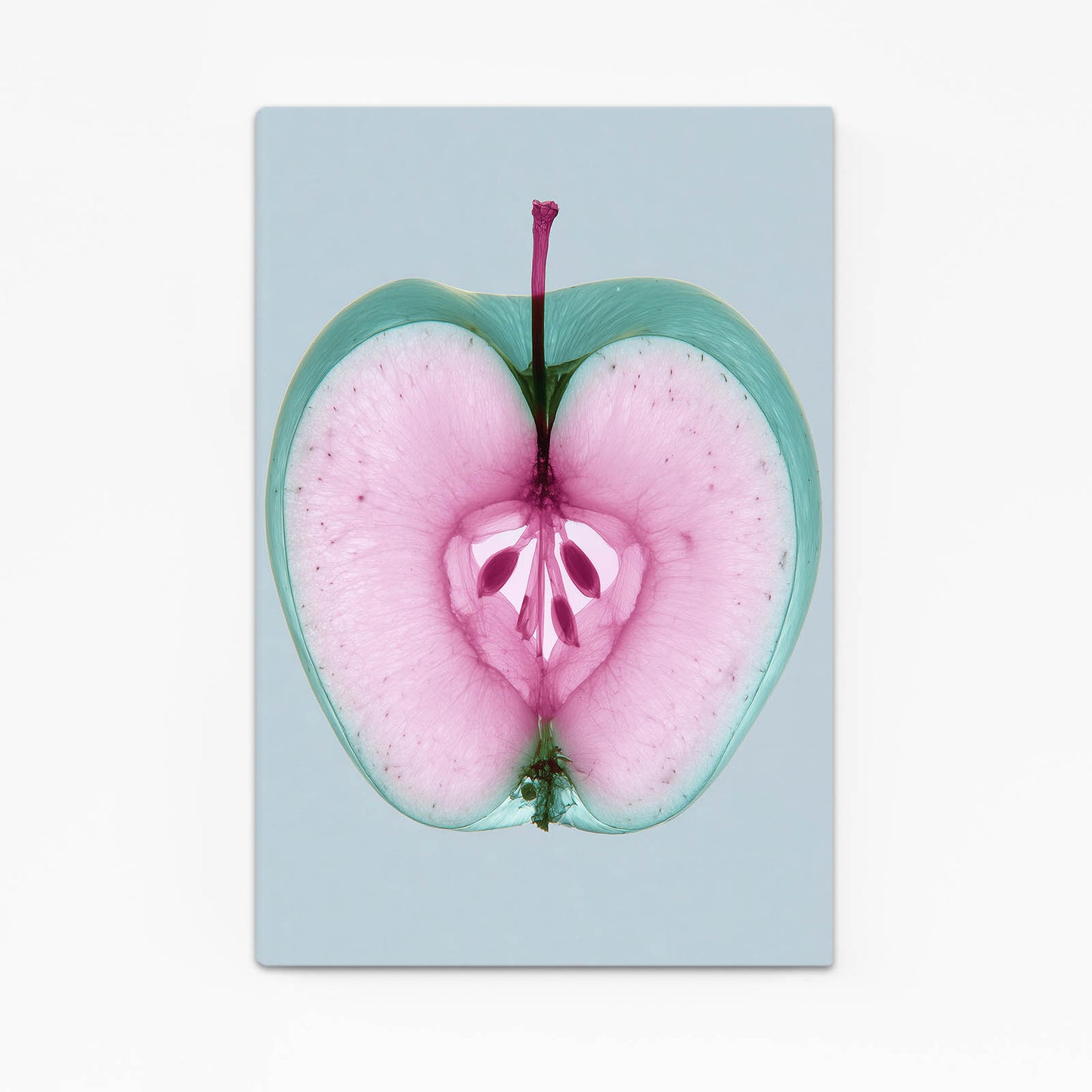 Pink Heart Slice Apple Prints – pink heart slice apple canvas print