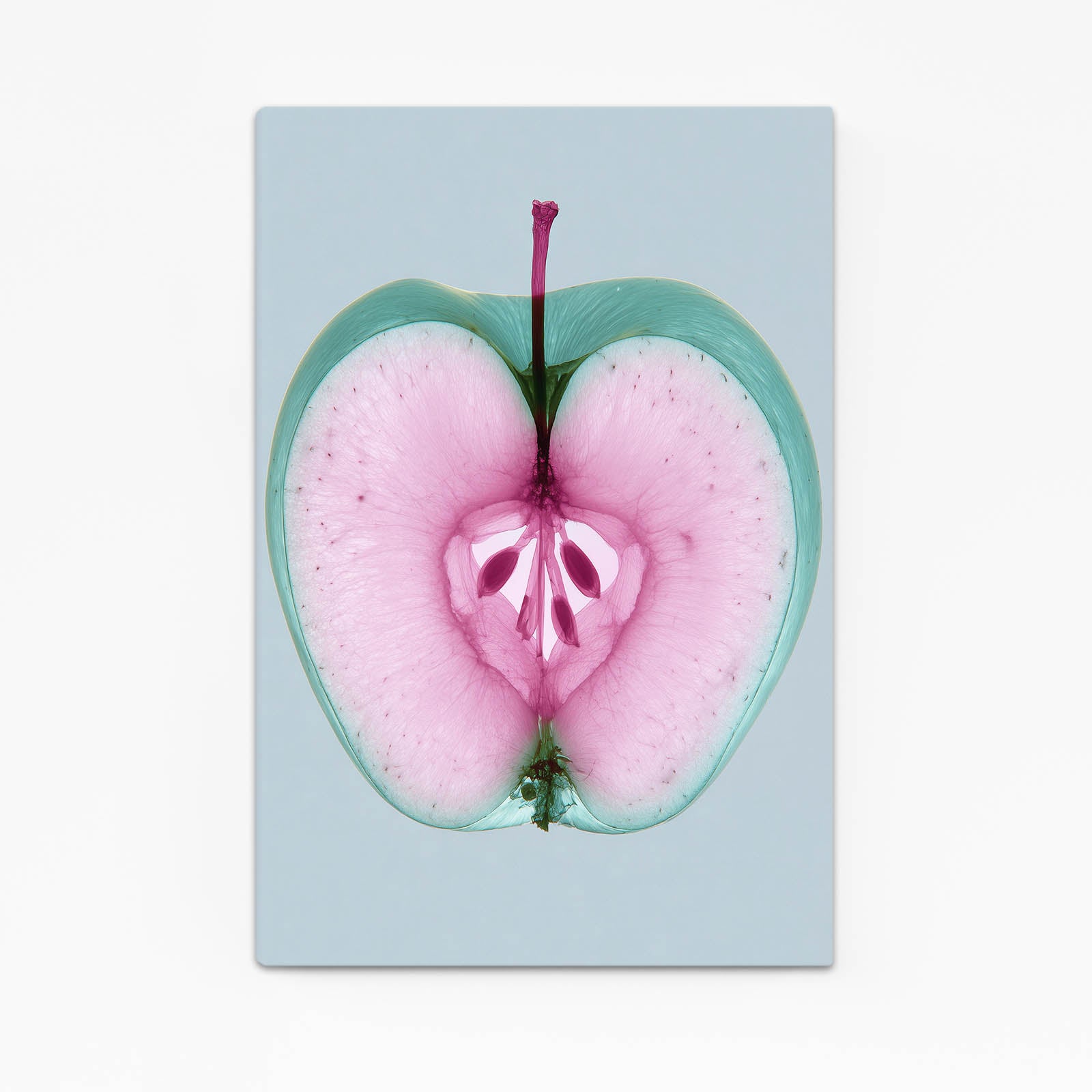 Pink Heart Slice Apple Prints – pink heart slice apple canvas print