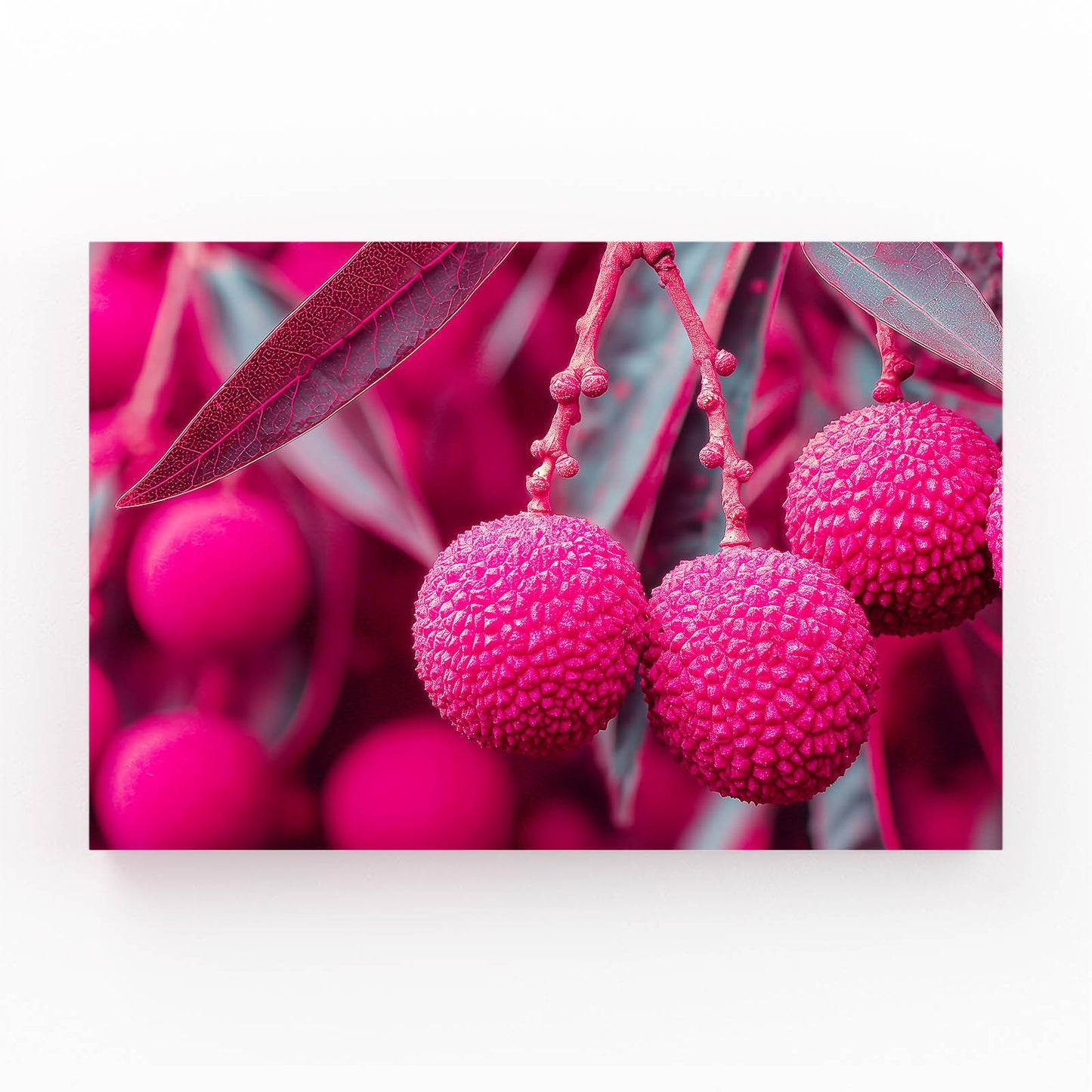Pink Lychee Macro Fruit Art – pink lychee macro fruit canvas print
