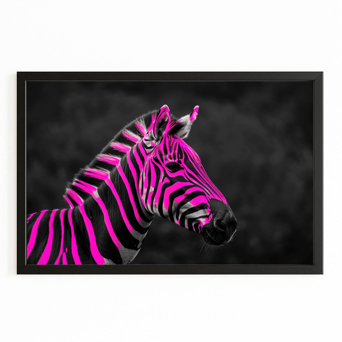 Pink Zebra Artwork – with Premium Black frame on white background