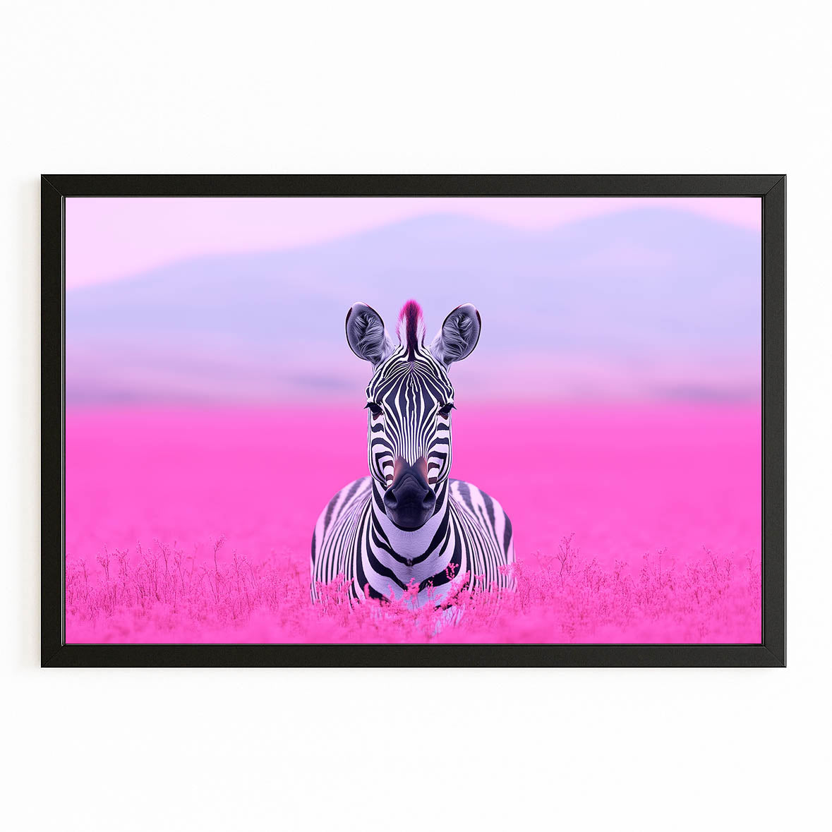 Pink Zebra Canvas – with Premium Black frame on white background