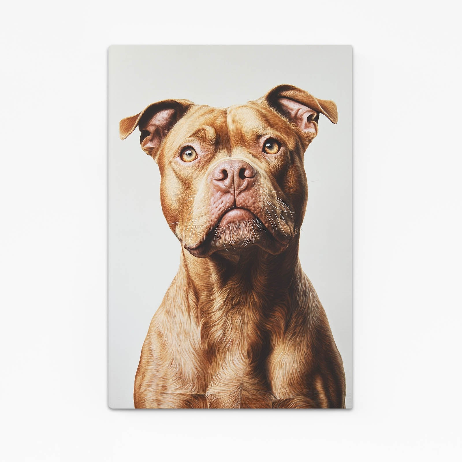 Pitbull Dog Artwork