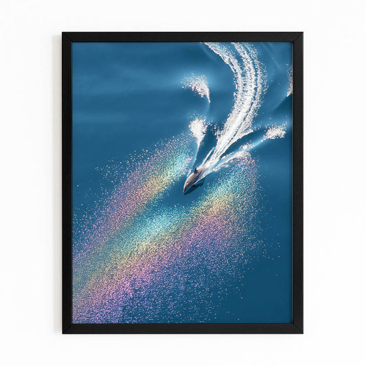 Prism Dive Dolphin Wall Art – with Premium Black wood frame on white background