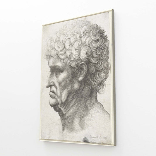 Profile Of An Old Man Da Vinci Canvas Art — realism canvas print, angled canvas view on white background