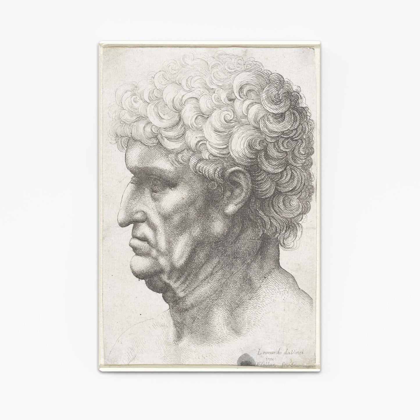 Profile Of An Old Man Da Vinci Canvas Art – profile of an old man da vinci canvas print
