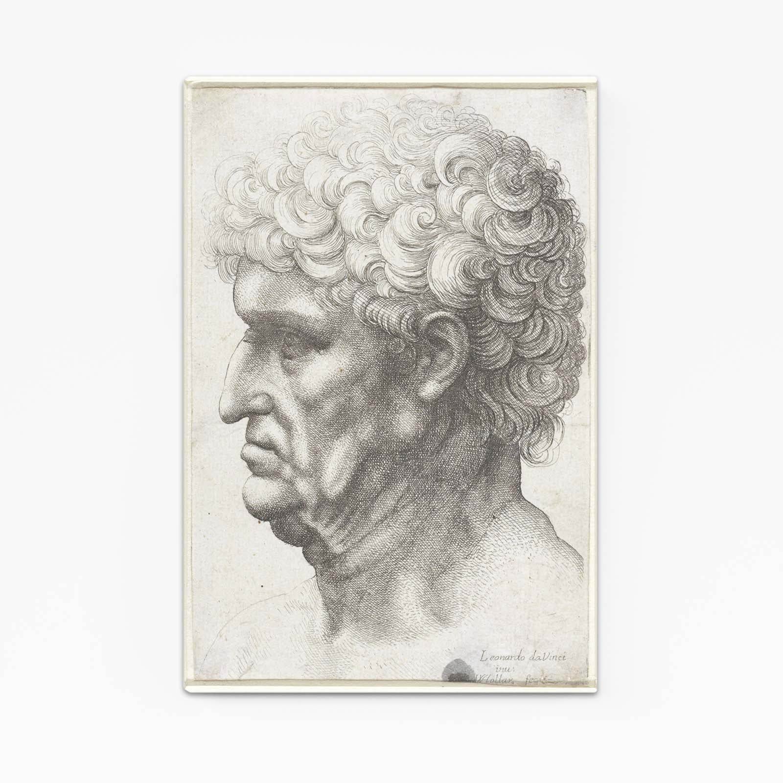 Profile Of An Old Man Da Vinci Canvas Art – profile of an old man da vinci canvas print