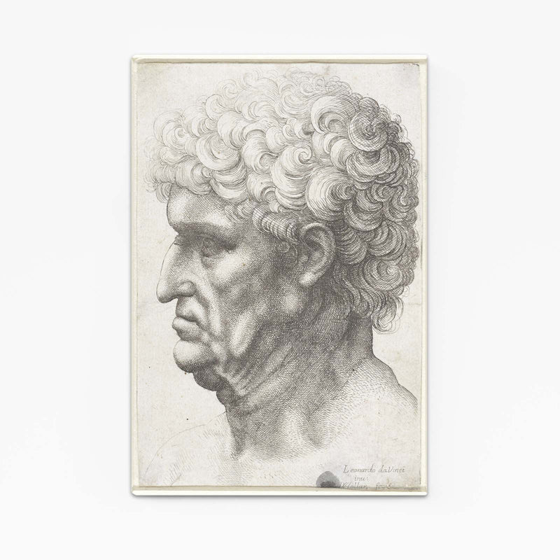 Profile Of An Old Man Da Vinci Canvas Art – profile of an old man da vinci canvas print