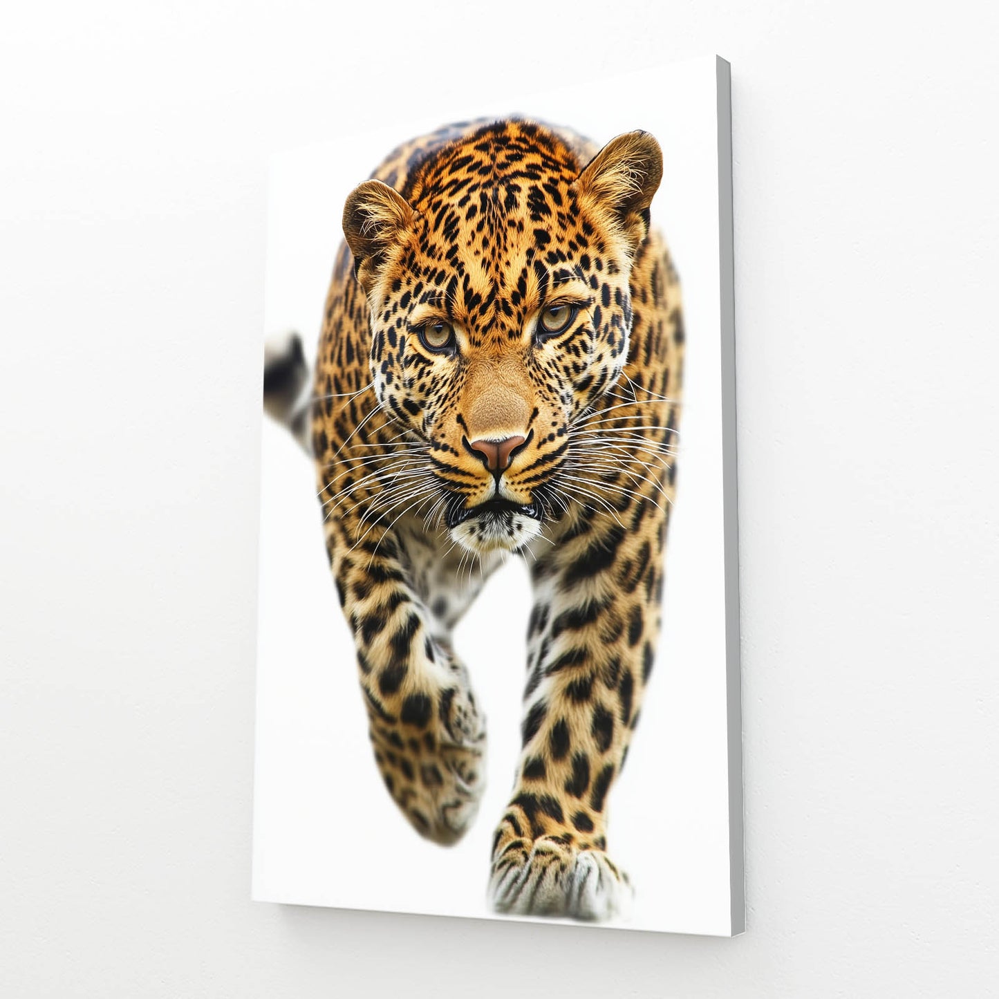 Prowling Stride Leopard Canvas Art – canvas print on white background
