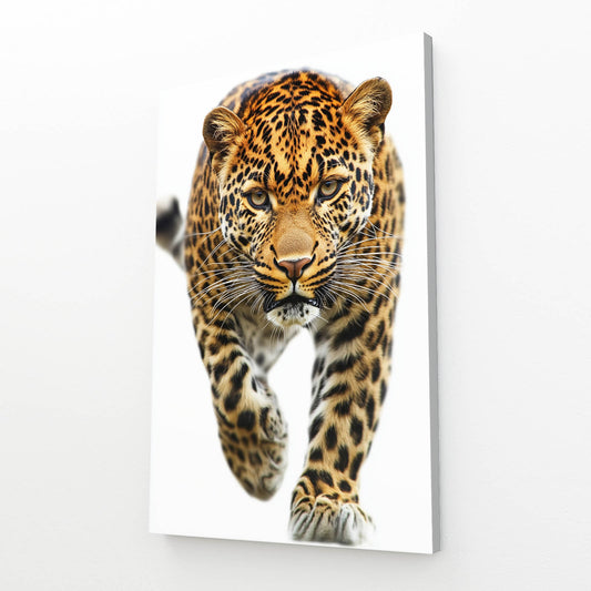 Prowling Stride Leopard Canvas Art – canvas print on white background