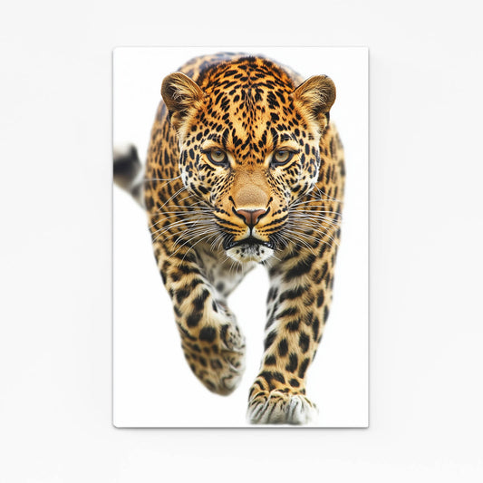 Prowling Stride Leopard Canvas Art – angled canvas view on white background