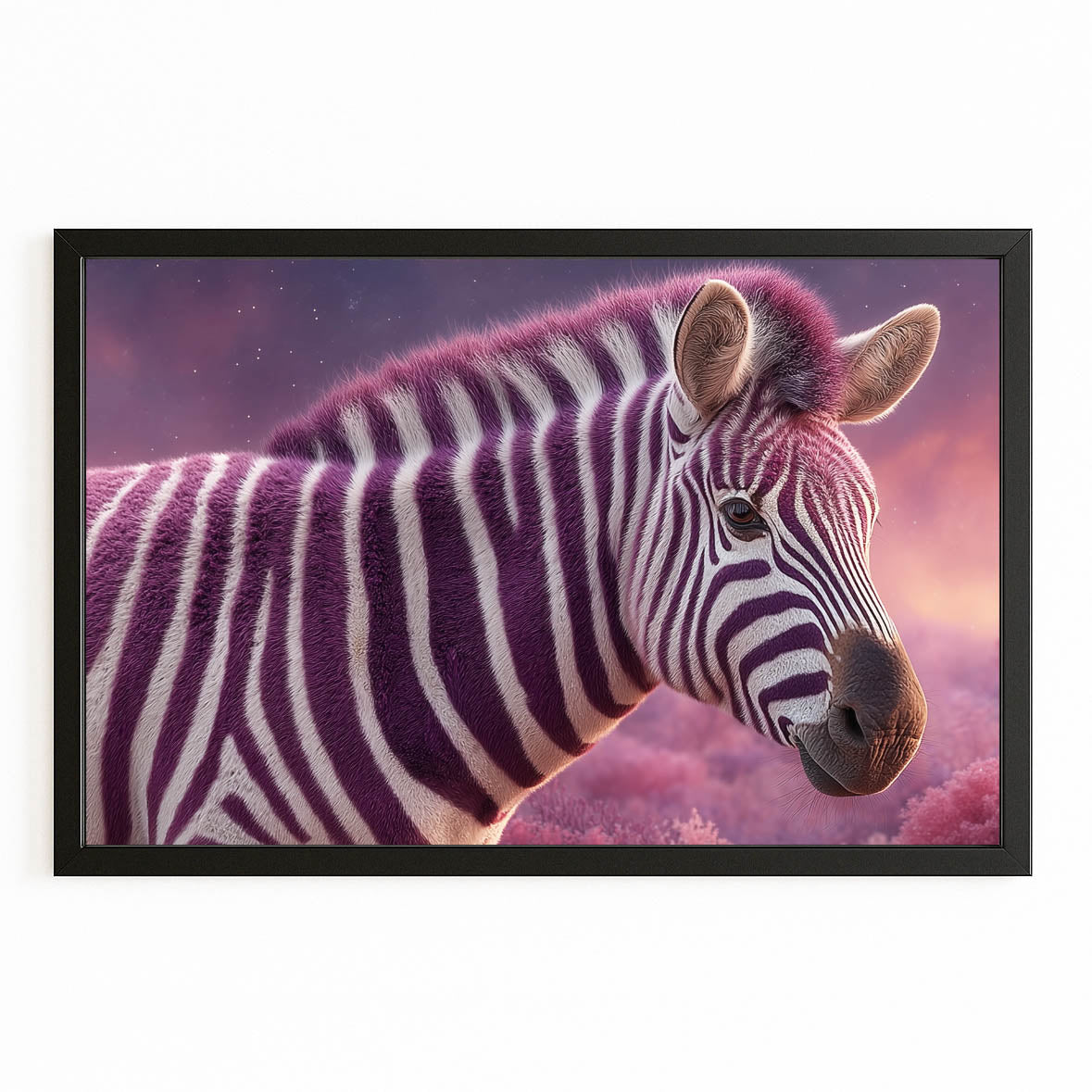 Purple Zebra Art – with Premium Black frame on white background