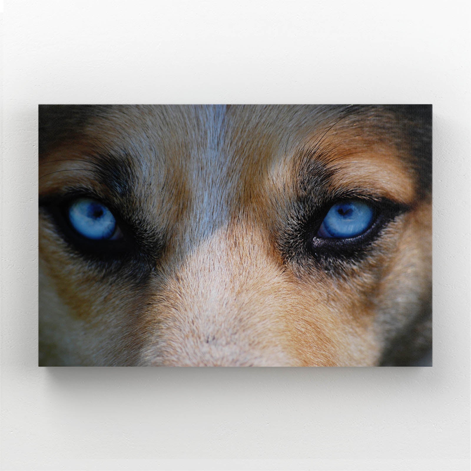 Realistic Wolf Art
