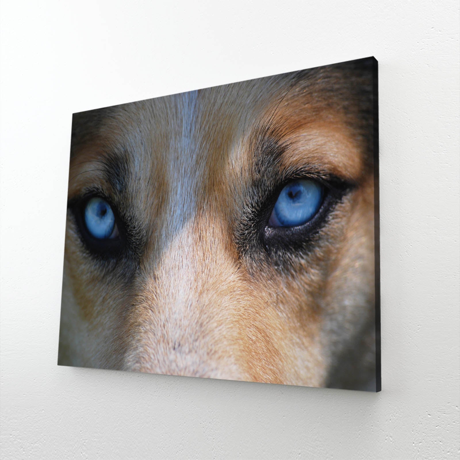 Realistic Wolf Art