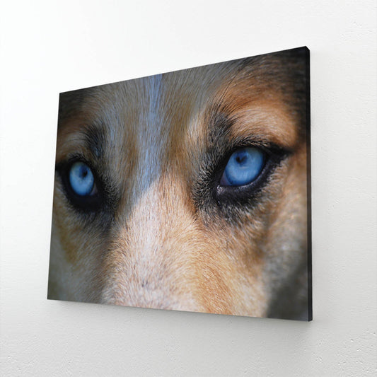 Realistic Wolf Art – canvas print on white background