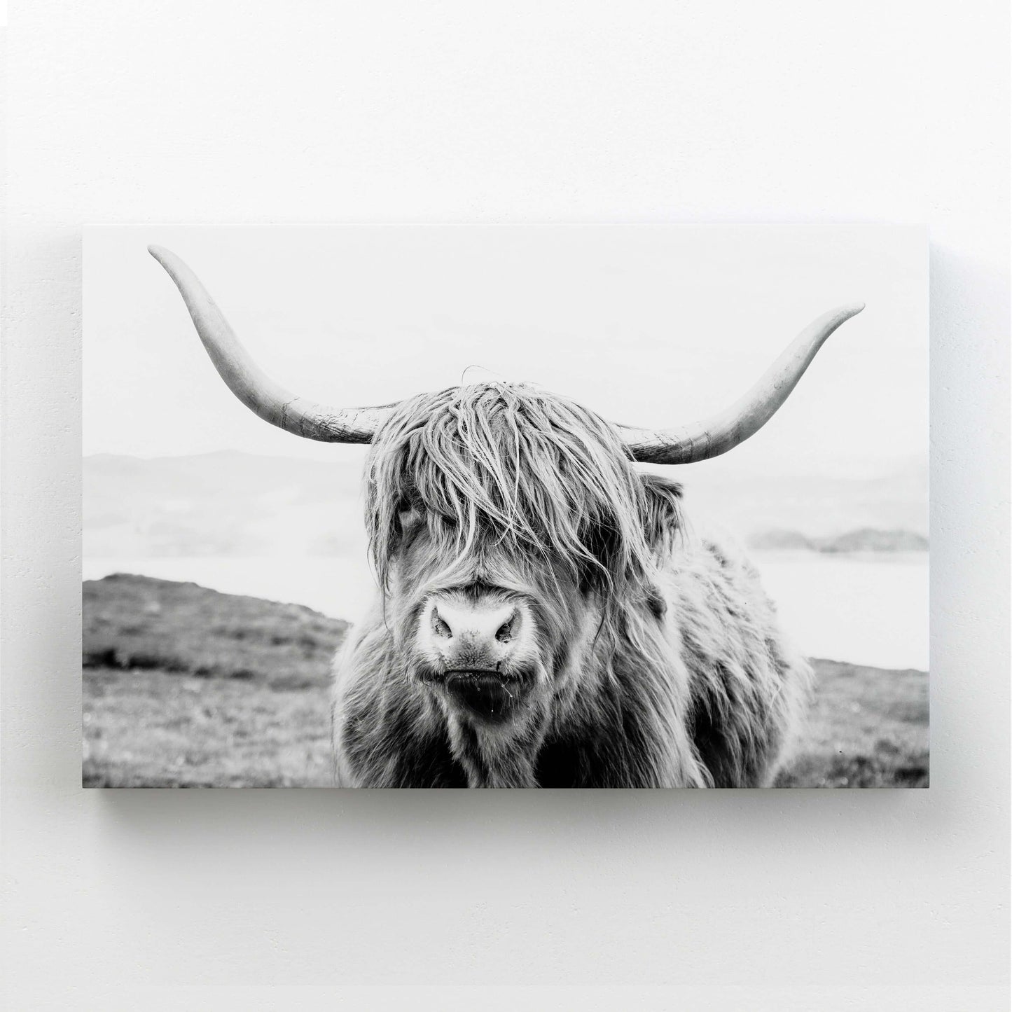 Retro Modern Cow Wall Art – angled canvas view on white background