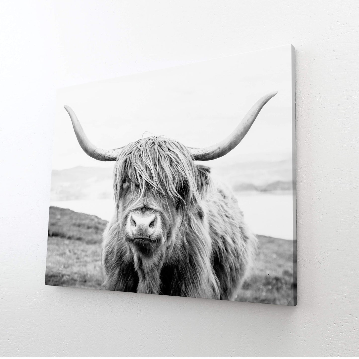 Retro Modern Cow Wall Art – angled canvas view on white background