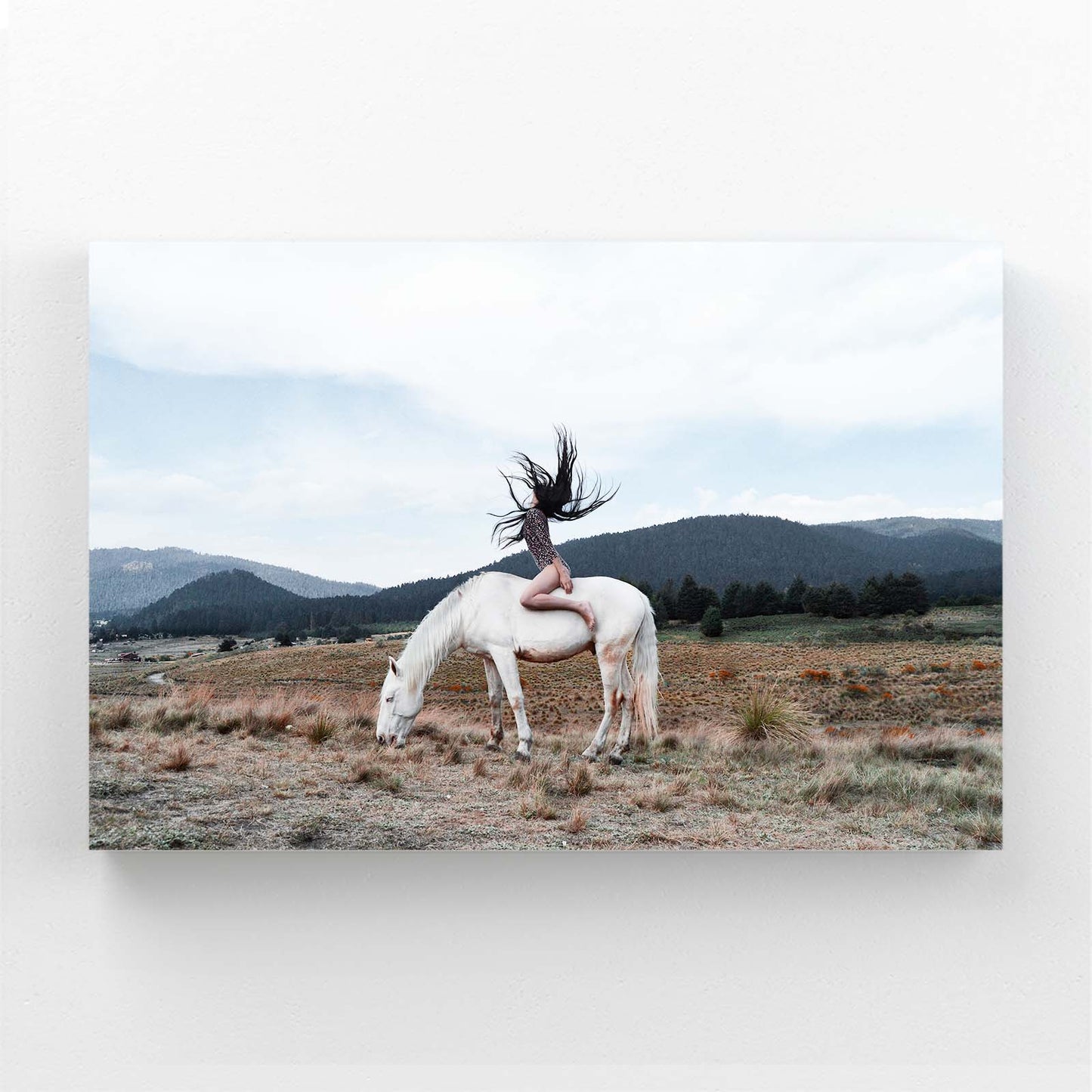 Rider Ridge Vista Horse Wall Decor — photography canvas print, angled canvas view on white background