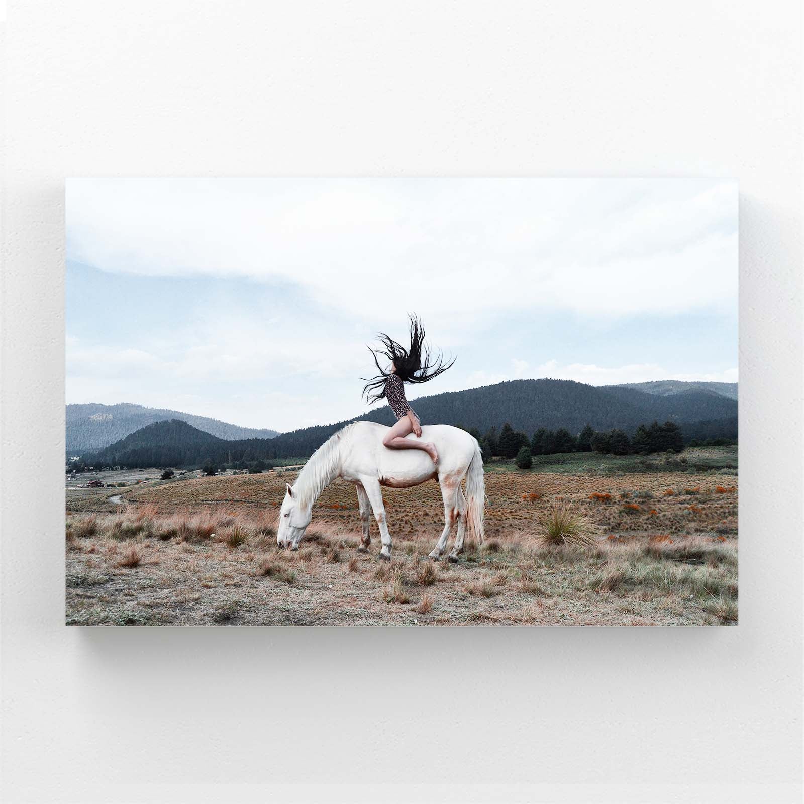 Rider Ridge Vista Horse Wall Decor — photography canvas print, angled canvas view on white background
