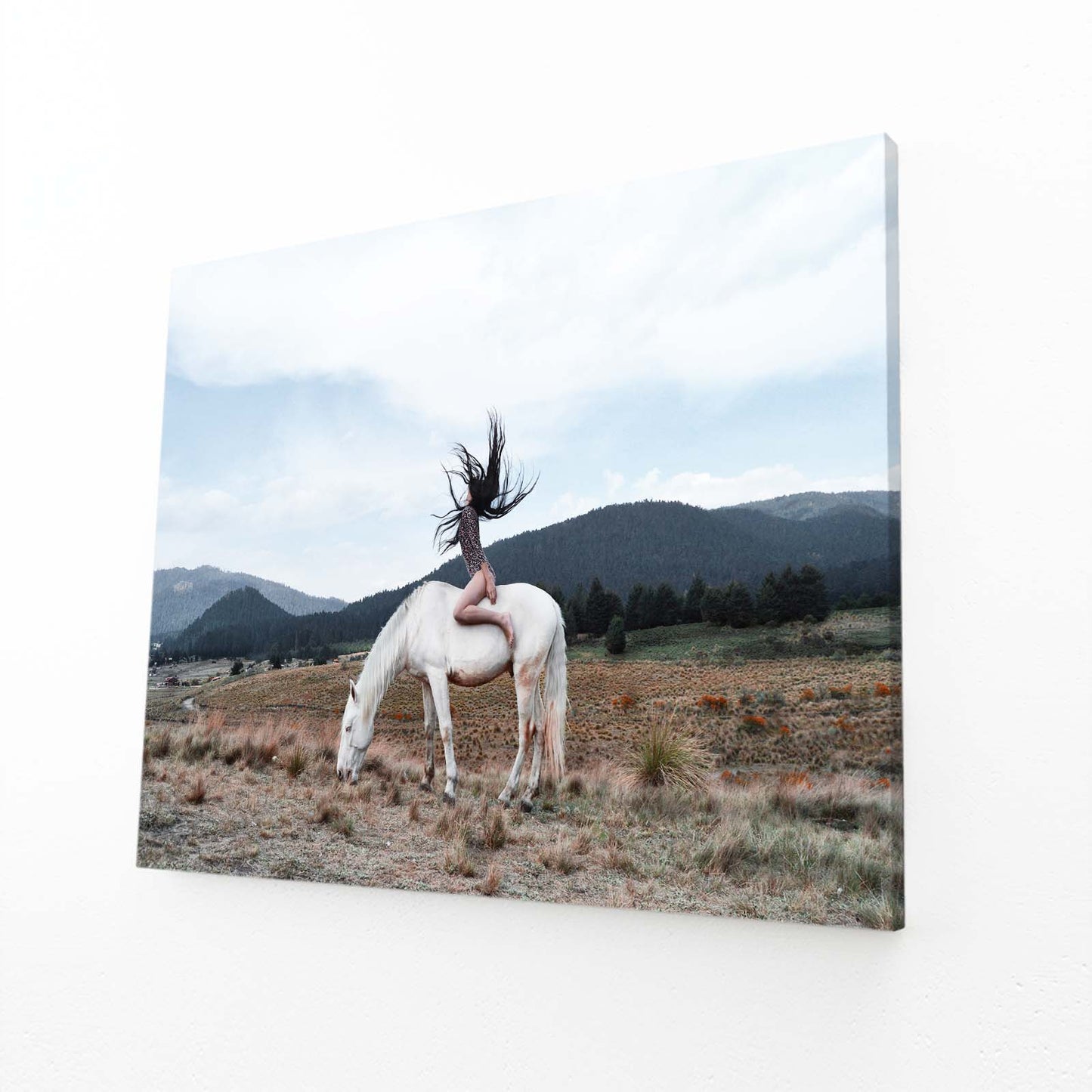 Rider Ridge Vista Horse Wall Decor — photography canvas print, angled canvas view on white background