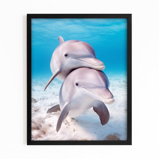 Sandy Shallows Dolphin Print – with Premium Black wood frame on white background
