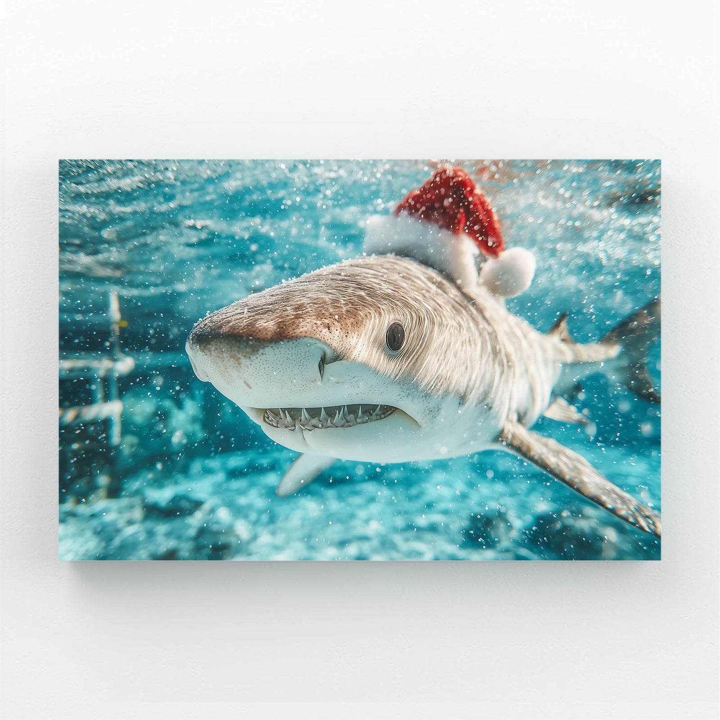 Santa Hat Christmas Shark Prints – santa hat christmas shark canvas print